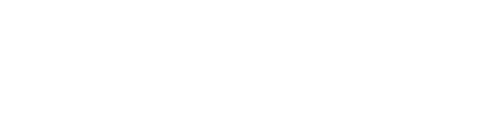 Taurus Steuer GmbH